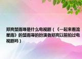 鄭爽楚雨蕁是什么電視?。ā兑黄饋?lái)看流星雨》的楚雨蕁的扮演者鄭爽以前拍過(guò)電視劇嗎）