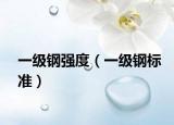 一級鋼強度（一級鋼標準）