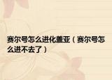 賽爾號(hào)怎么進(jìn)化蓋亞（賽爾號(hào)怎么進(jìn)不去了）