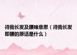 待我長(zhǎng)發(fā)及腰啥意思（待我長(zhǎng)發(fā)即腰的原話是什么）