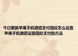 今日更新蘋果手機微信支付指紋怎么設置 蘋果手機微信設置指紋支付的方法