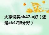 大家說買ak47-a好（還是ak47狼牙好）