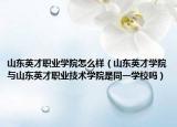 山東英才職業(yè)學(xué)院怎么樣（山東英才學(xué)院與山東英才職業(yè)技術(shù)學(xué)院是同一學(xué)校嗎）