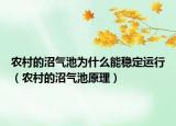 農(nóng)村的沼氣池為什么能穩(wěn)定運行（農(nóng)村的沼氣池原理）