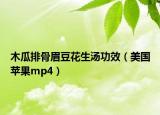 木瓜排骨眉豆花生湯功效（美國蘋果mp4）