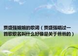 賈盛強姐姐的歌詞（賈盛強唱過一首歌歌名叫什么好像是關(guān)于爸爸的）