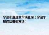 寧波市查違章車輛查詢（寧波車輛違法查詢方法）