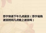 蘇寧快遞下午幾點(diǎn)送貨（蘇寧易購(gòu)送貨時(shí)間幾點(diǎn)晚上送貨嗎）