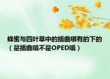 蜂蜜與四葉草中的插曲哪有的下的（是插曲哦不是OPED哦）