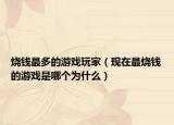 燒錢最多的游戲玩家（現(xiàn)在最燒錢的游戲是哪個(gè)為什么）