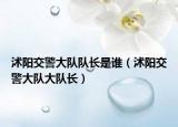 沭陽交警大隊(duì)隊(duì)長是誰（沭陽交警大隊(duì)大隊(duì)長）