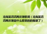 滄海笑滔滔兩岸潮歌詞（滄海笑滔滔兩岸潮是什么歌里的的我望了）