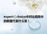 expert（choice中對比矩陣中的數(shù)據(jù)代表什么意）