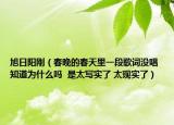 旭日陽剛（春晚的春天里一段歌詞沒唱 知道為什么嗎  是太寫實(shí)了 太現(xiàn)實(shí)了）