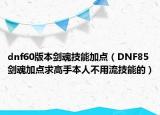 dnf60版本劍魂技能加點(diǎn)（DNF85劍魂加點(diǎn)求高手本人不用流技能的）