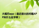 大嘴巴app（最近很火的對嘴APP叫什么名字啊）