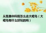從集美中科院怎么去大嶝島（大嶝島有什么好玩的嗎）