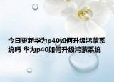 今日更新華為p40如何升級鴻蒙系統(tǒng)嗎 華為p40如何升級鴻蒙系統(tǒng)