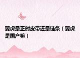 翼虎是正時(shí)皮帶還是鏈條（翼虎是國(guó)產(chǎn)嘛）