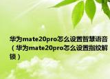 華為mate20pro怎么設(shè)置智慧語音（華為mate20pro怎么設(shè)置指紋解鎖）