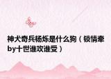 神犬奇兵楊爍是什么狗（鎖情牽by十世誰(shuí)攻誰(shuí)受）