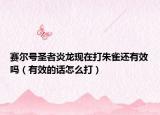 賽爾號圣者炎龍現(xiàn)在打朱雀還有效嗎（有效的話怎么打）