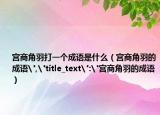 宮商角羽打一個成語是什么（宮商角羽的成語