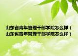 山東省青年管理干部學(xué)院怎么樣（山東省青年管理干部學(xué)院怎么樣）
