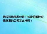 武漢短信群發(fā)公司（長沙的那種短信群發(fā)的公司怎么樣啊）