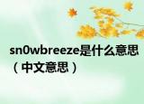 sn0wbreeze是什么意思（中文意思）