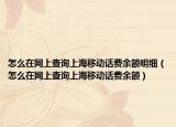 怎么在網(wǎng)上查詢上海移動(dòng)話費(fèi)余額明細(xì)（怎么在網(wǎng)上查詢上海移動(dòng)話費(fèi)余額）