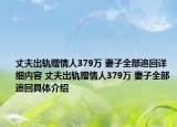 丈夫出軌贈(zèng)情人379萬(wàn) 妻子全部追回詳細(xì)內(nèi)容 丈夫出軌贈(zèng)情人379萬(wàn) 妻子全部追回具體介紹
