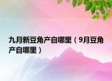 九月新豆角產(chǎn)自哪里（9月豆角產(chǎn)自哪里）