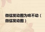 微信發(fā)動(dòng)圖為啥不動(dòng)（微信發(fā)動(dòng)圖）