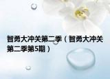 智勇大沖關(guān)第二季（智勇大沖關(guān)第二季第5期）