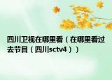 四川衛(wèi)視在哪里看（在哪里看過去節(jié)目（四川sctv4））