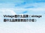 Vintage是什么品牌（vintage是什么品牌意思簡介介紹）