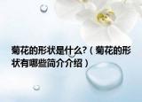 菊花的形狀是什么?（菊花的形狀有哪些簡(jiǎn)介介紹）