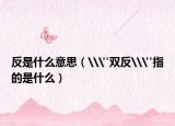 反是什么意思（\
