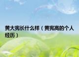黃大憲長什么樣（黃憲高的個人經(jīng)歷）