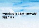 什么叫本壘打（本壘打是什么梗簡介介紹）