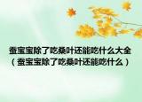 蠶寶寶除了吃桑葉還能吃什么大全（蠶寶寶除了吃桑葉還能吃什么）