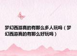 夢幻西游真的有那么多人玩嗎（夢幻西游真的有那么好玩嗎）