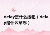 delay是什么按鈕（delay是什么意思）