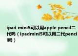 ipad mini5可以用apple pencil二代嗎（ipadmini5可以用二代pencil嗎）