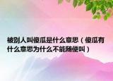 被別人叫傻瓜是什么意思（傻瓜有什么意思為什么不能隨便叫）