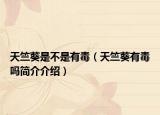 天竺葵是不是有毒（天竺葵有毒嗎簡(jiǎn)介介紹）