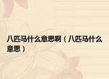八匹馬什么意思?。ò似ヱR什么意思）