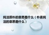 純潔質(zhì)樸的意思是什么（樸素純潔的意思是什么）