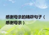 感謝母親的精辟句子（感謝母親）